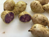 Okinawan Sweet Potato: (WHITE SKIN ) fresh product - Caribbean garden seed