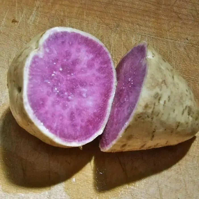 Okinawan Sweet Potato: (WHITE SKIN ) fresh product - Caribbean garden seed