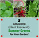 Orach Spinach  Seeds, Green Velvet'  Sun Loving Vegetable, - Caribbean garden seed