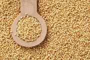 Organic Amaranth Sprouting Seeds,gluten-free and a source of complete protein - Caribbean garden seed