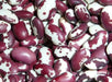 Organic Bean Seed, Anasazi Cave beans ( Phaseolus vulgaris) Dry, Shelling, Heirloom Bean ! - Caribbean garden seed