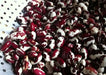 Organic Bean Seed, Anasazi Cave beans ( Phaseolus vulgaris) Dry, Shelling, Heirloom Bean ! - Caribbean garden seed