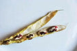 Organic Bean Seed, Anasazi Cave beans ( Phaseolus vulgaris) Dry, Shelling, Heirloom Bean ! - Caribbean garden seed