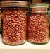 Organic Bean Seeds - "Santa Maria Pinquito Bean" Dry/Shell  , a.K.a PINK BEANS, - Caribbean garden seed