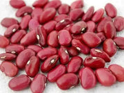 Organic Bean Seeds - Hidatsa Red,Very Rare Heirloom Originally grown by the Hidatsa Indians of North Dakota. - Caribbean garden seed