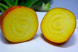 Organic Beet, Golden Detroit Heirloom,Excellent choice for pickling - Caribbean garden seed