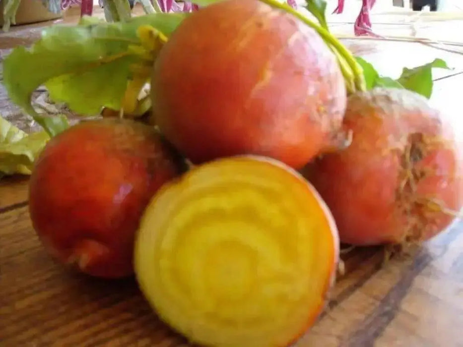 Organic Beet, Golden Detroit Heirloom,Excellent choice for pickling - Caribbean garden seed