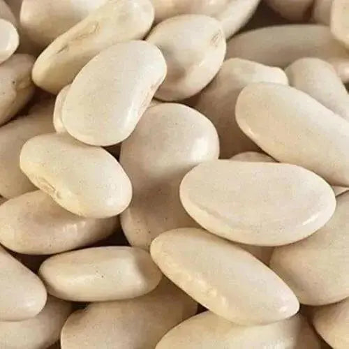 ORGANIC Lima Bean Seeds ,King of the Garden, HEIRLOOM NON GMO - Caribbean garden seed
