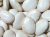 ORGANIC Lima Bean Seeds ,King of the Garden, HEIRLOOM NON GMO - Caribbean garden seed