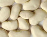ORGANIC Lima Bean Seeds ,King of the Garden, HEIRLOOM NON GMO - Caribbean garden seed