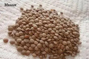 Organic Brown Lentil - untreated - Caribbean garden seed