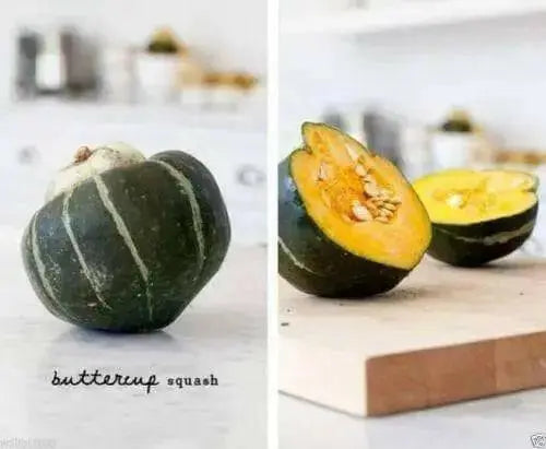 Organic Non-GMO Burgess Buttercup Squash - Open-Pollinated,Winter Squash Seeds - Caribbean garden seed