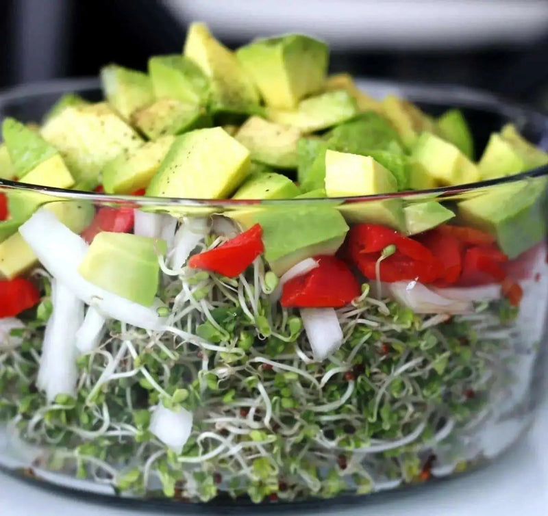 Organic Sprouting Salad Mix, - Caribbean garden seed