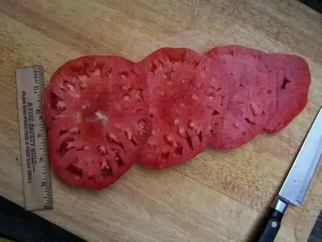 Oxheart Tomato Seeds,heirloom tomato ,Japanese Giant Tomato, asian vegetable - Caribbean garden seed