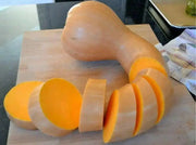 PA Dutch Crookneck Neck Pumpkin Seeds, WINTER SQUASH - Caribbean garden seed