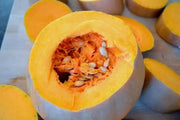 PA Dutch Crookneck Neck Pumpkin Seeds, WINTER SQUASH - Caribbean garden seed