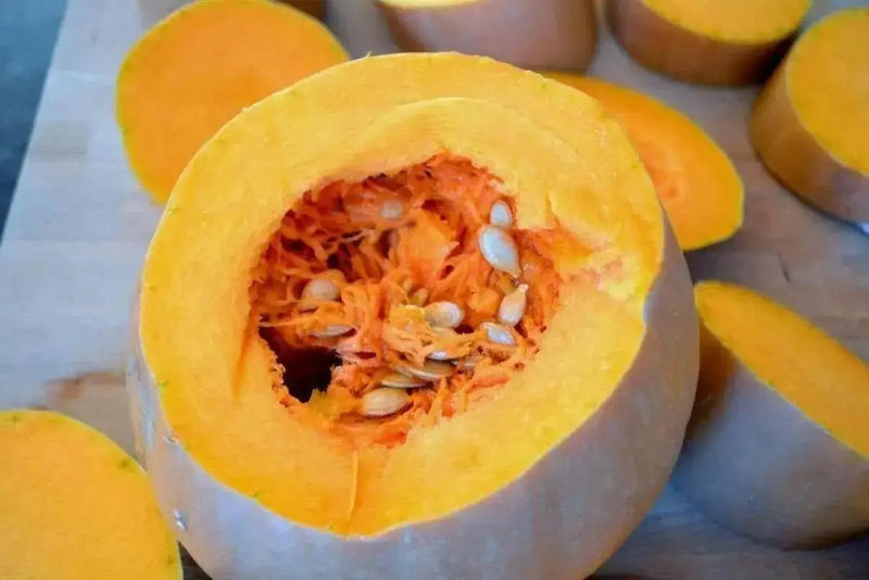 PA Dutch Crookneck Neck Pumpkin Seeds, WINTER SQUASH - Caribbean garden seed