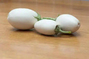 Ornamental Eggplant Golden Eggs  -  Solanum Melongena - Caribbean garden seed