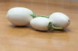 Ornamental Eggplant Golden Eggs  -  Solanum Melongena - Caribbean garden seed