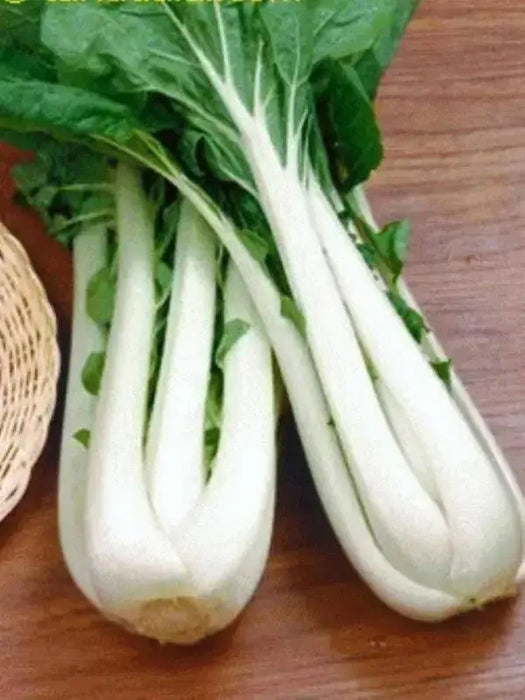 Pak Choi seeds ,bok choy or Chinese white cabbage, Asian Vegetable - Caribbean garden seed