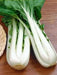 Pak Choi seeds ,bok choy or Chinese white cabbage, Asian Vegetable - Caribbean garden seed
