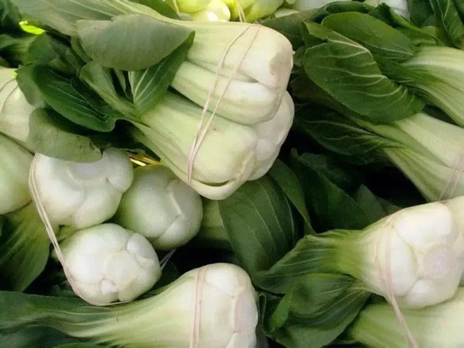 Pak Choi seeds ,bok choy or Chinese white cabbage, Asian Vegetable - Caribbean garden seed