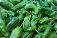 Padron Pepper SEEDS- (Capiscum annuum) Hot/Sweet/Mild, HEIRLOOM VEGETABLE - Caribbean garden seed