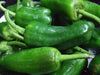 Padron Pepper SEEDS- (Capiscum annuum) Hot/Sweet/Mild, HEIRLOOM VEGETABLE - Caribbean garden seed