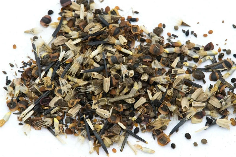 Partial shade wild flower seed mix - Caribbean garden seed