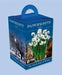 Paperwhite gift set ,-Grow this fragrant beauty.suited to forcing - Caribbean garden seed