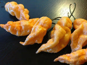 PEACH Ghost Pepper - Capsicum chinense, HOT, GARDEN ANNUAL - Caribbean garden seed