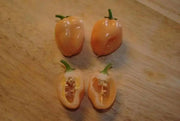 PEACH Habanero Pepper SEEDS, Capsicum chinense, VERY HOT. - Caribbean garden seed