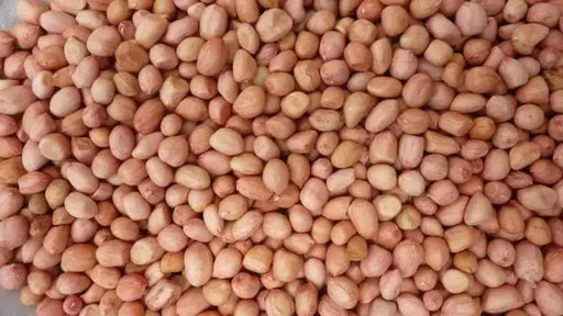 Peanut, Spanish Peanuts . Untreated Seeds ,Heirloom Organically Grown and Hand Harvest ! Bulk - Caribbean garden seed