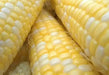 Peaches and Cream Corn Seed, Corn Hybrid Bi-Color - Caribbean garden seed