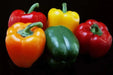 Pepper Seeds- Multi-Color- Capsicum annuum-Sweet Pepper - Caribbean garden seed