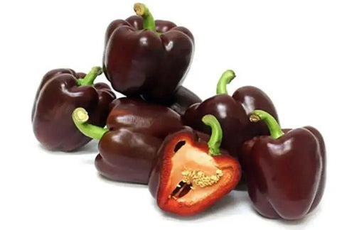 Pepper, Miniature Chocolate Bell - Capsicum annuum , Organically Grown - Caribbean garden seed