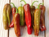 Pepperoncini  sweet pepper Seeds , Capsicum Annuum - Caribbean garden seed