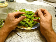 Pepperoncini  sweet pepper Seeds , Capsicum Annuum - Caribbean garden seed