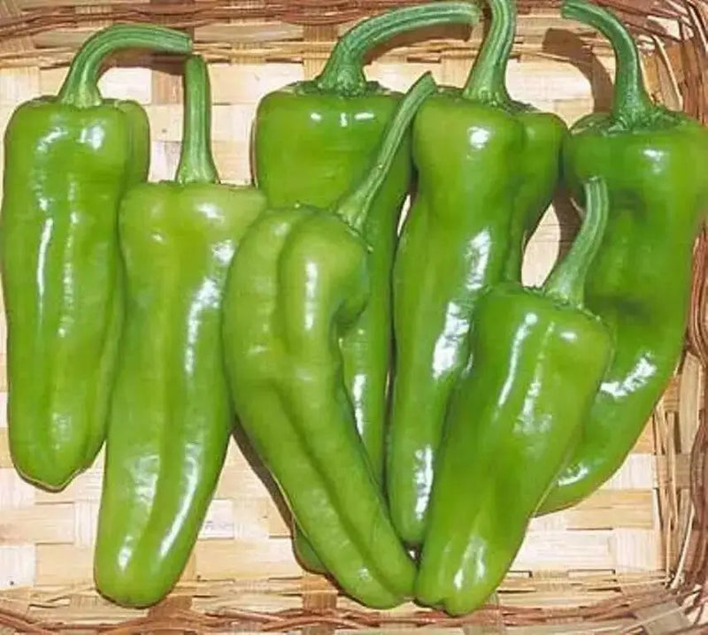 Pepperoncini  sweet pepper Seeds , Capsicum Annuum - Caribbean garden seed