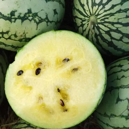 Petite Yellow Watermelon seeds - Non-GMO Heirloom ,-Yellow Flesh - Caribbean garden seed