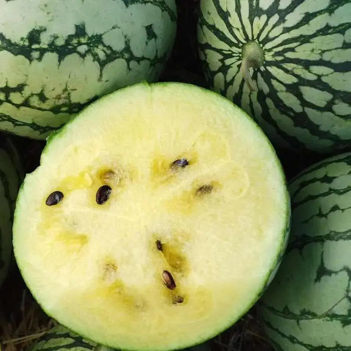 Petite Yellow Watermelon seeds - Non-GMO Heirloom ,-Yellow Flesh - Caribbean garden seed