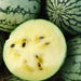 Petite Yellow Watermelon seeds - Non-GMO Heirloom ,-Yellow Flesh - Caribbean garden seed