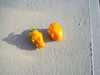petit marseillais' PEPPER SEEDS Capsicum annuum - Caribbean garden seed