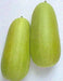 Pickling Melon Seeds "Numane" Asian Vegetable - Caribbean garden seed