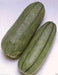Pickling Melon Seeds "Green Stripe"  Asian Vegetable - Caribbean garden seed