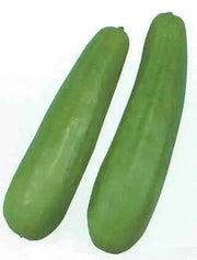 Pickling Melon Seeds "Katsura Giant"  Asian Vegetable - Caribbean garden seed