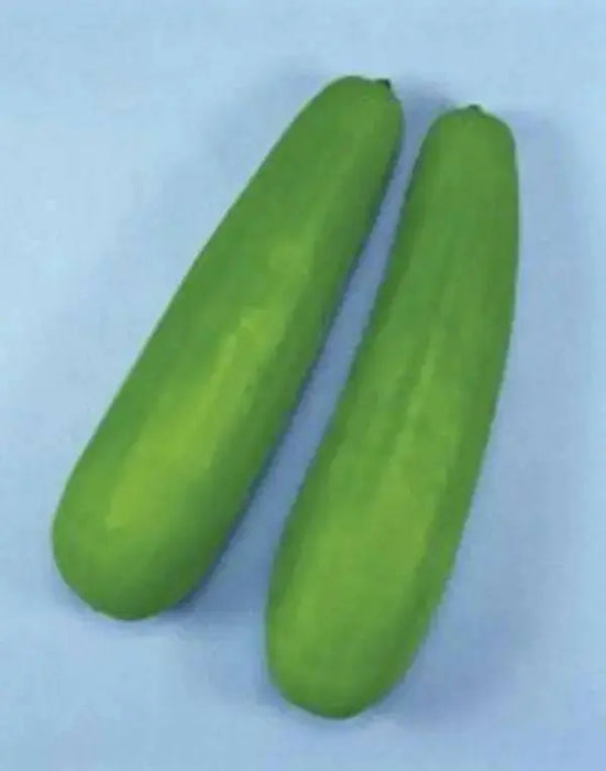 Pickling Melon Seeds "Katsura Giant"  Asian Vegetable - Caribbean garden seed