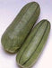 Pickling Melon Seeds "Green Stripe" (Cucumis melo var conomom) asian Vegetable - Caribbean garden seed