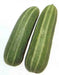 Pickling Melon Seeds "Green Stripe" (Cucumis melo var conomom) asian Vegetable - Caribbean garden seed