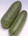 Pickling Melon Seeds "Green Stripe" (Cucumis melo var conomom) asian Vegetable - Caribbean garden seed